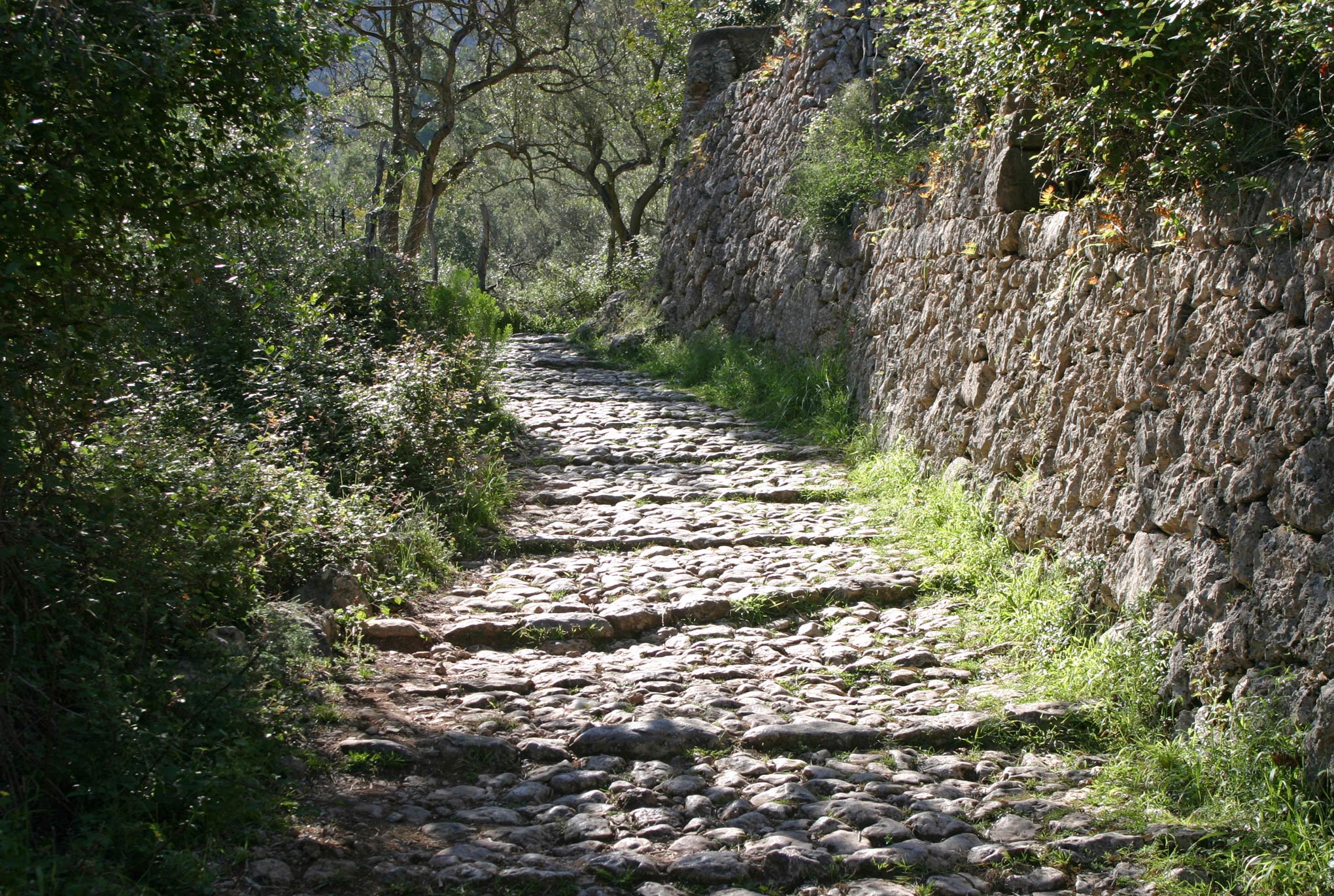 barranco de Biniaraix