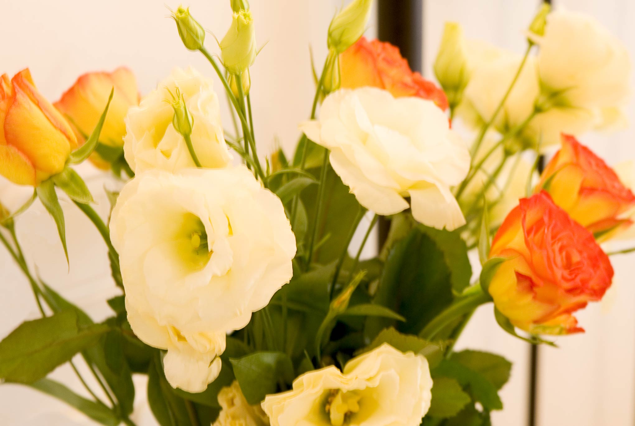 Flores de s'Ardeviu